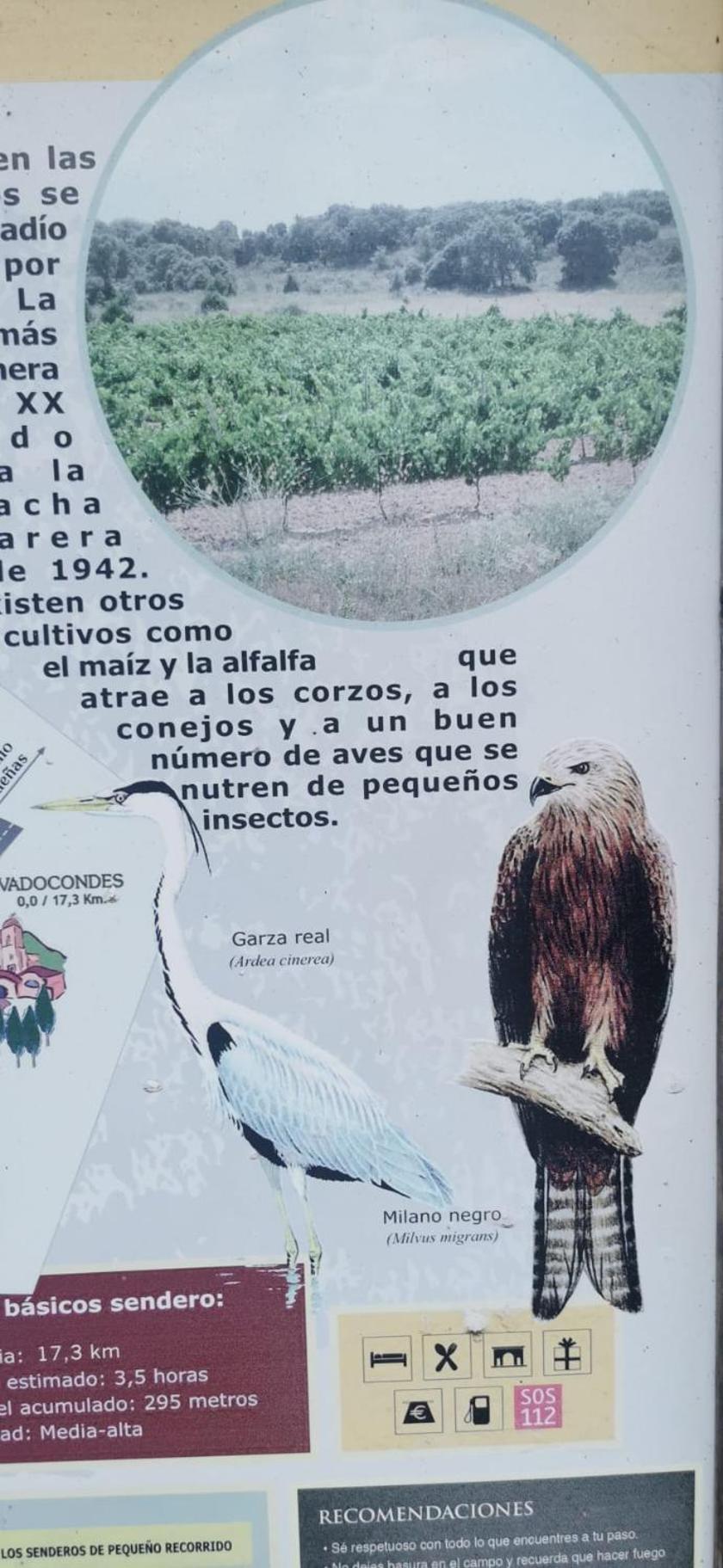 Chalet De Artistas Vadocondes エクステリア 写真